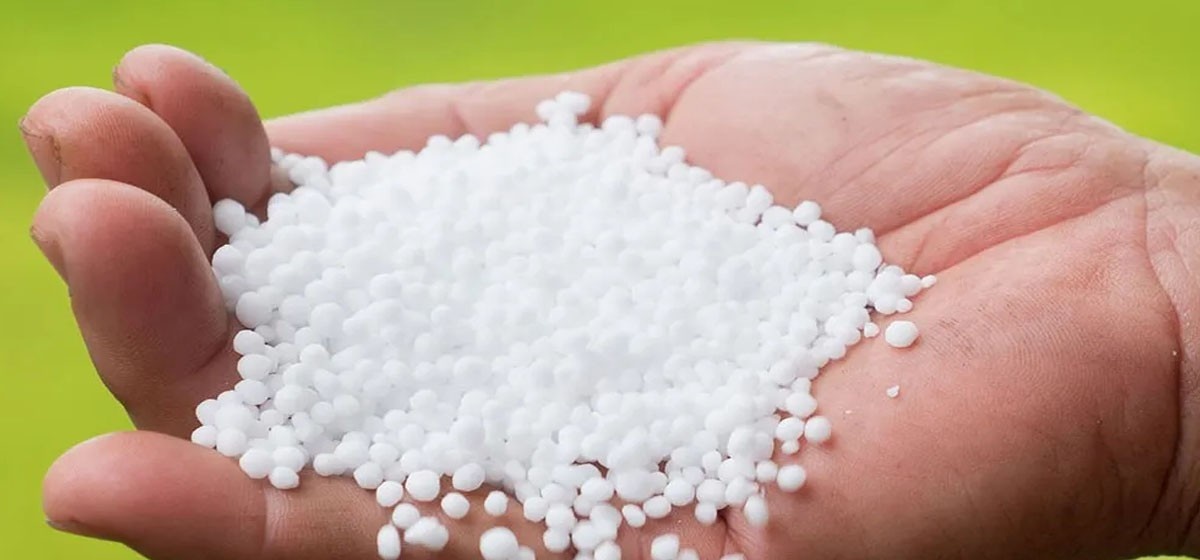 हिउँदे बालीका लागि रासायनिक मलको अभाव नहुने